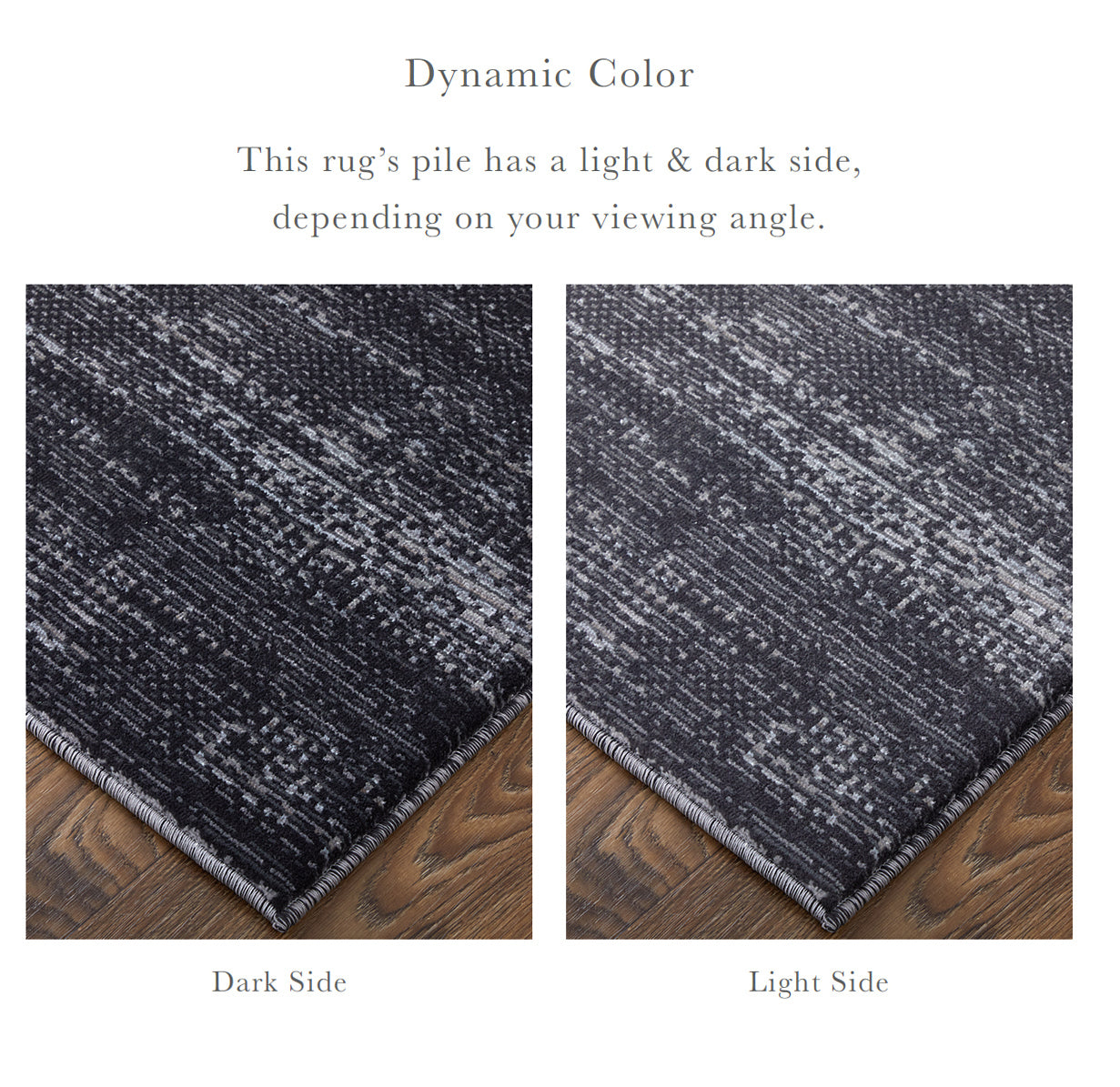 Deja Modern/Casual Black/Silver/Gray Area Rug