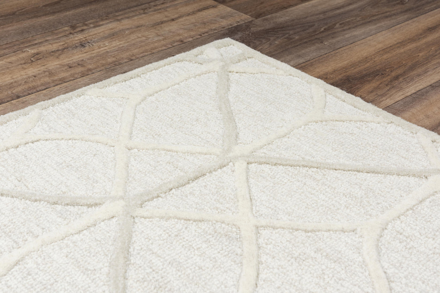 Ava A06101 Beige  Hand Tufted Rug - Rizzy