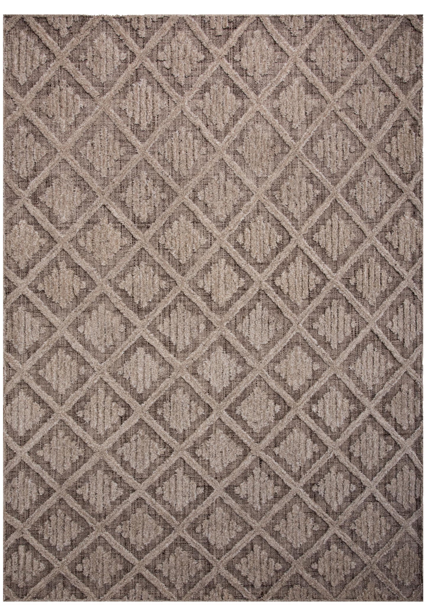 Driftwood DRI688 Brown Hand Tufted Rug - Rizzy