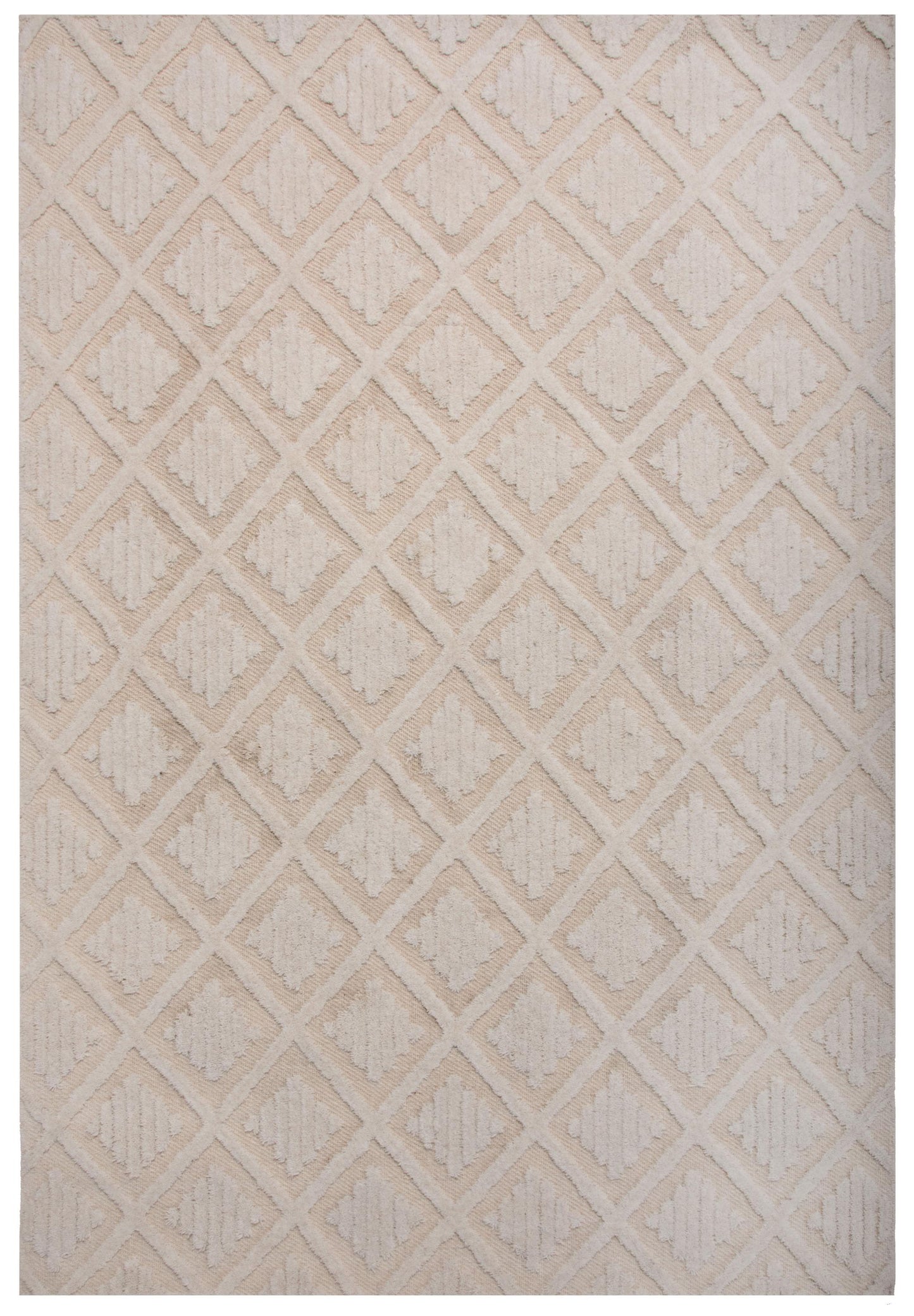 Driftwood DRI689 Ivory Hand Tufted Rug - Rizzy