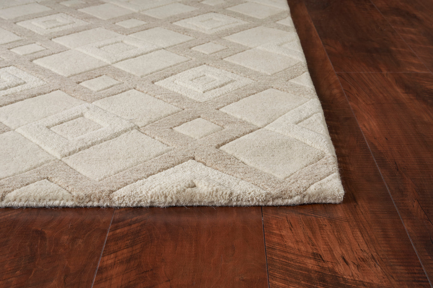 Eternity 1055 Ivory Vista Hand Tufted Area Rug - Kas