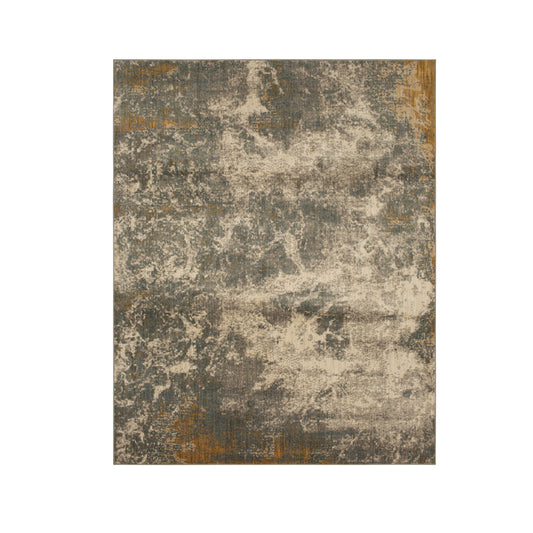 Karastan Rugs Imagal Gray Area Rug