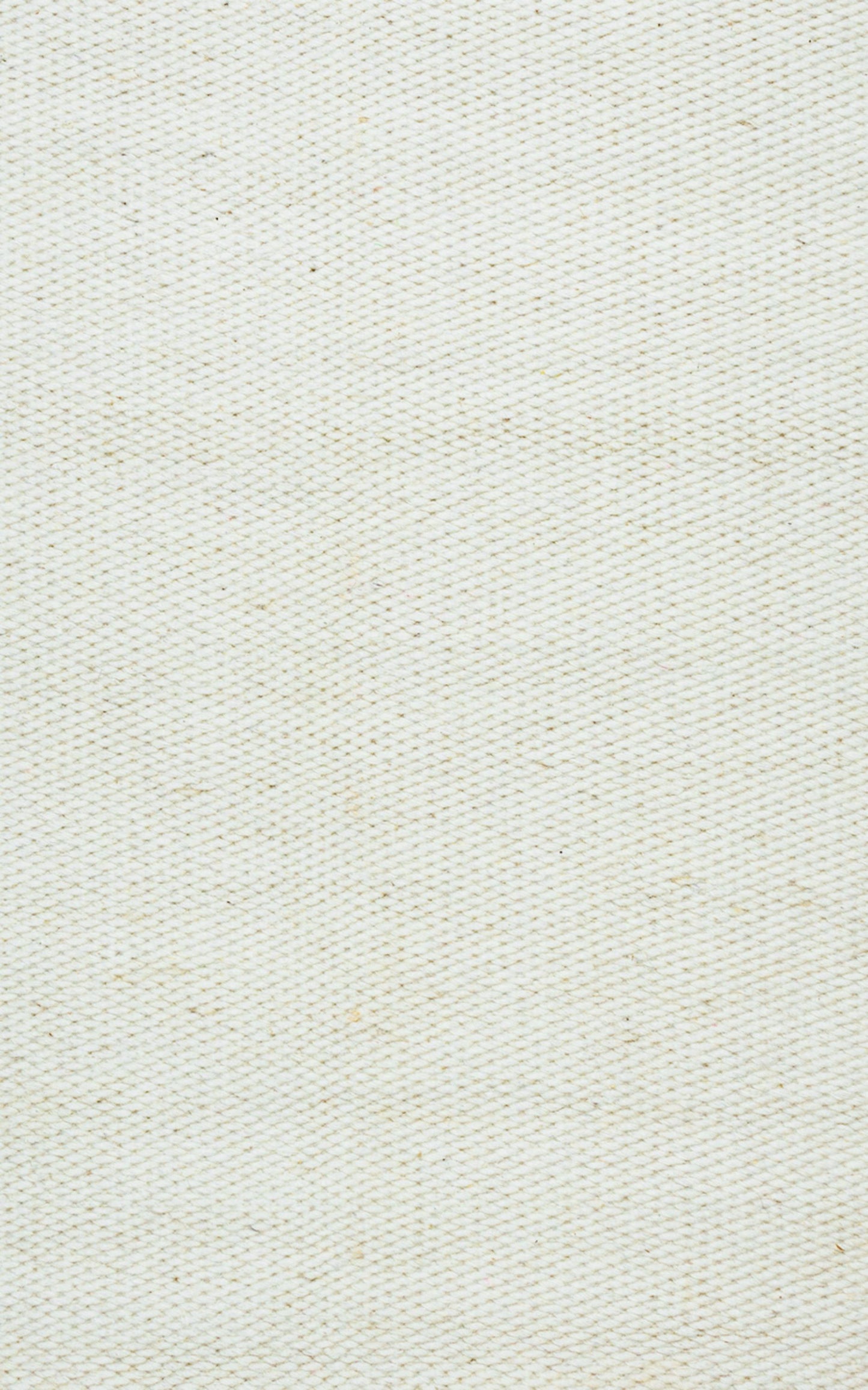 Twist TW3065 off white  Hand Woven Rug - Rizzy