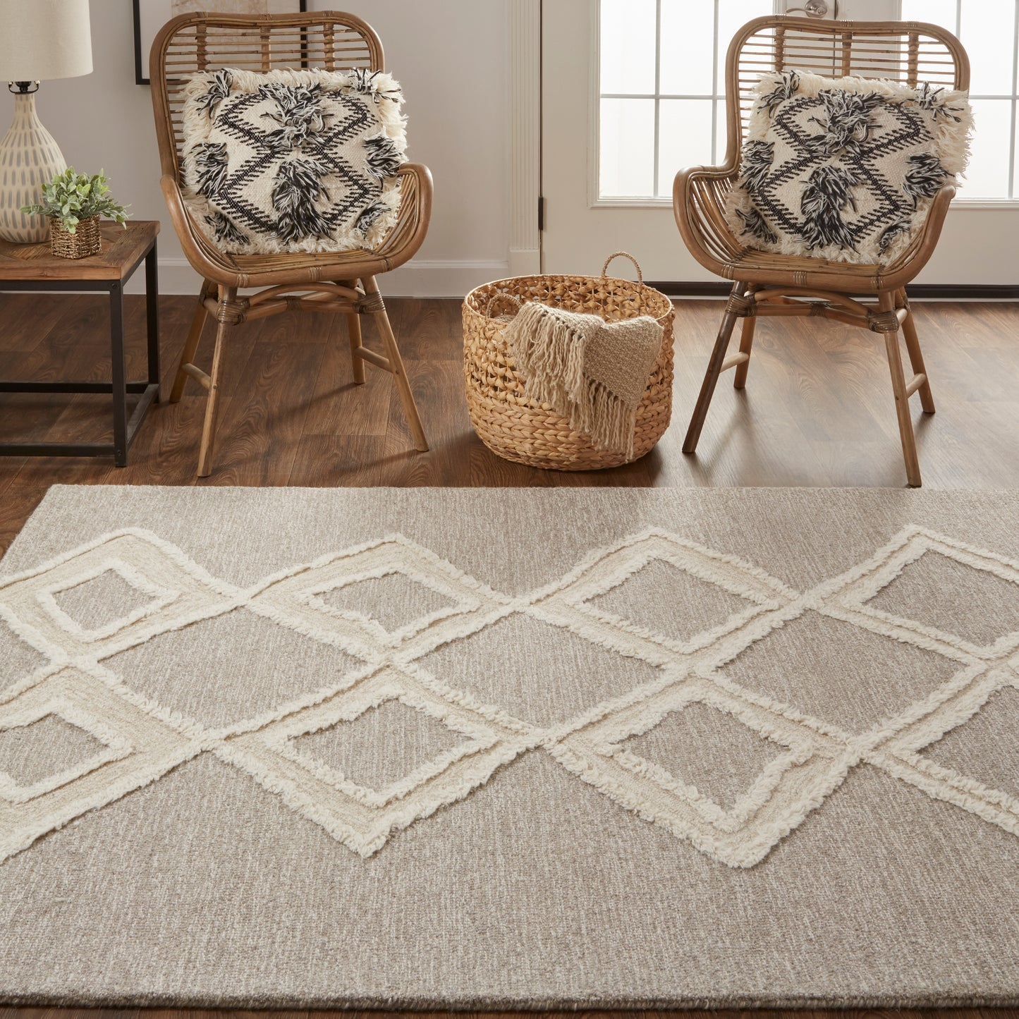 Anica Transitional/Bohemian & Eclectic/Natural Gray/Ivory Accent Rug